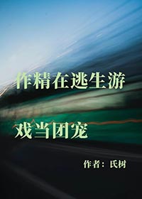 作精的游戏之旅